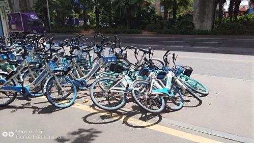 珠海公交车爆料视频最新,爆料视频揭示公交改革新举措 第2张 珠海公交车爆料视频最新,爆料视频揭示公交改革新举措 第2张